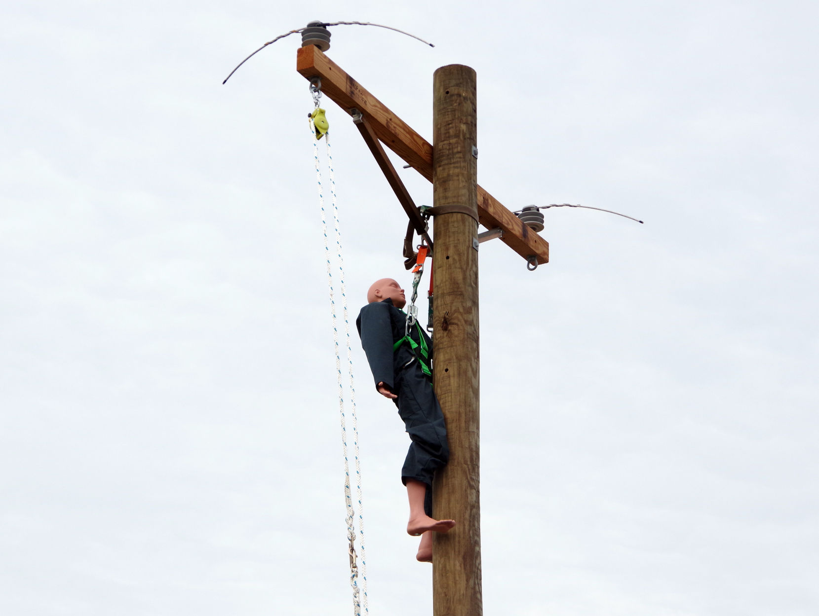 Lineman Rodeo
